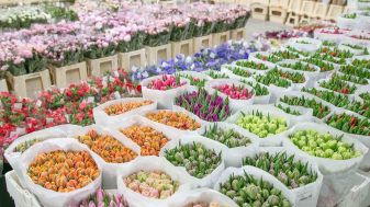 Рижский рынок доставка цветов купить цветы вологда адреса